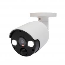 HSK 140 - Camera falsa de exterior cu lampa