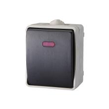 9877H - AQUATOP, comutator pe perete, IP 54 gri