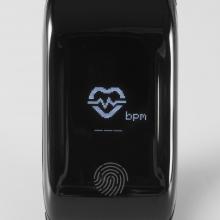 FW PULSE/BK